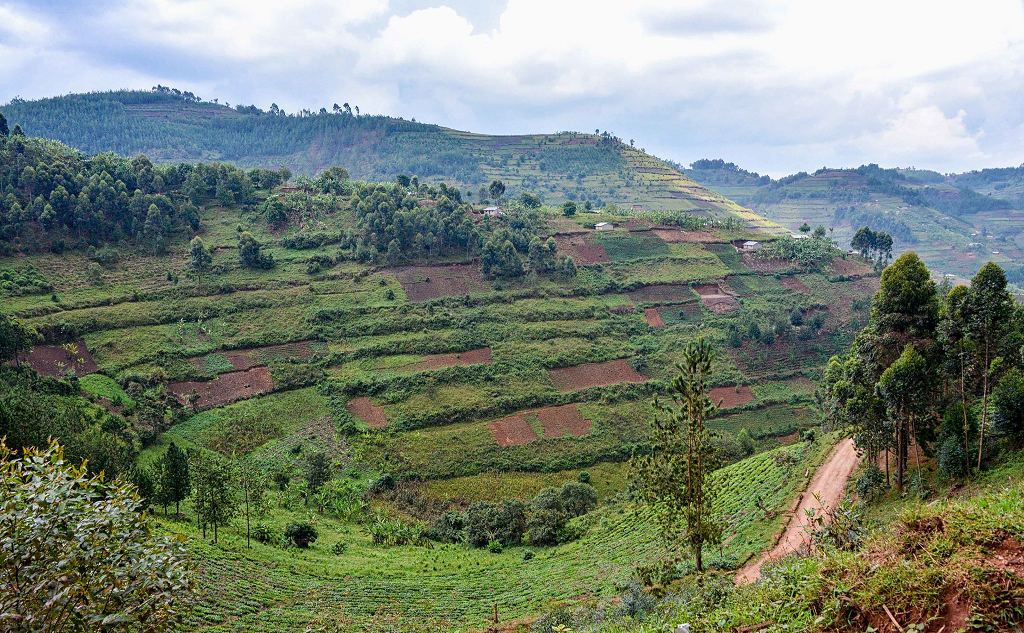 Agricultural land